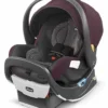 Chicco Fit2 Rear-Facing Infant & Toddler Car Seat With Anti-Rebound Bar - Arietta
