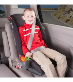 Diono Radian R120 All-In-One Convertible - Essex -Britax || Graco || Maxi-Cosi Shop diono radian r120 all in one convertible essex 79