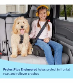 Graco TurboBooster 2.0 Backless Booster Car Seat - Trisha -Britax || Graco || Maxi-Cosi Shop graco turbobooster 2 0 backless booster car seat trisha 10