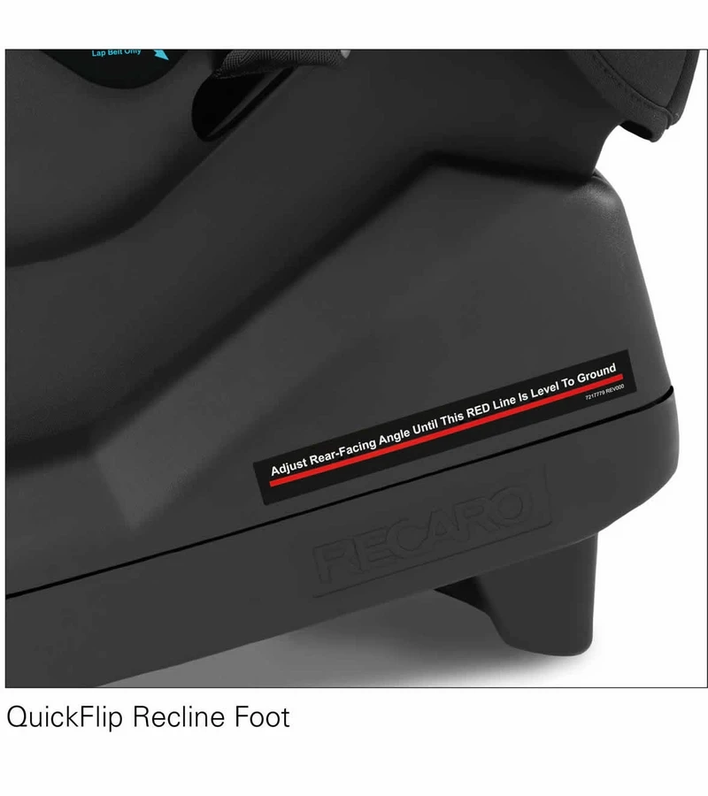 Recaro Roadster XL Convertible Car Seat - Aluminum Gray 2 Recaro Roadster XL Convertible Car Seat - Aluminum Gray - Image 2