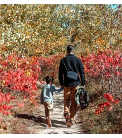 WAYB Pico Forward Facing Travel Car Seat - Woodland (Albee Exclusive Color, 2020 Model) -Britax || Graco || Maxi-Cosi Shop wayb pico forward facing travel car seat woodland albee exclusive color 2020 model 44