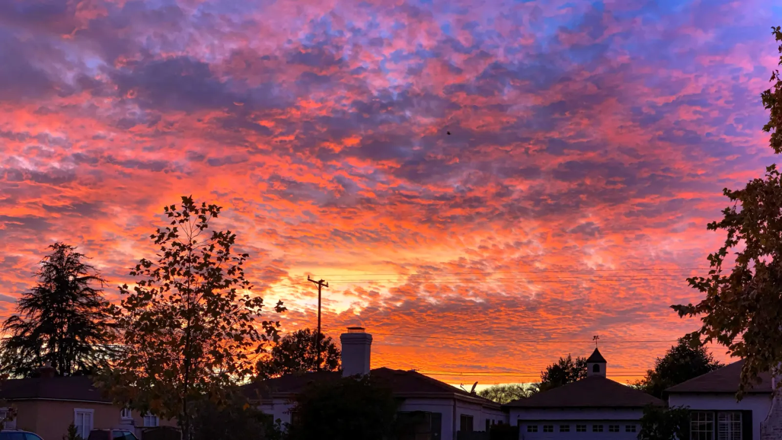 Britax || Graco || Maxi-Cosi Shop -Britax || Graco || Maxi-Cosi Shop OCR L SUNSETS 0104 01 LO 71377123 1